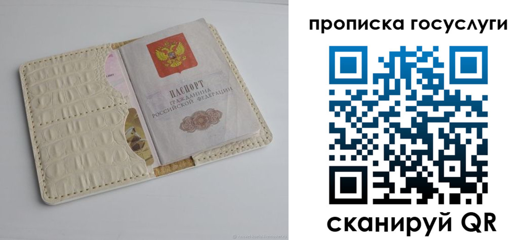 прописка в Липецкая области
